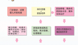 我这种促排卵方案要多久？什么时候能移植